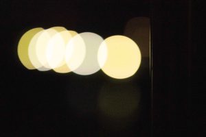 玉ボケ　2　230509 (1 - 1)